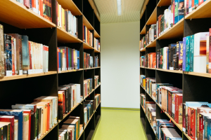 Bücherregale in der Schulbibliothek mit vielfältiger Literatur